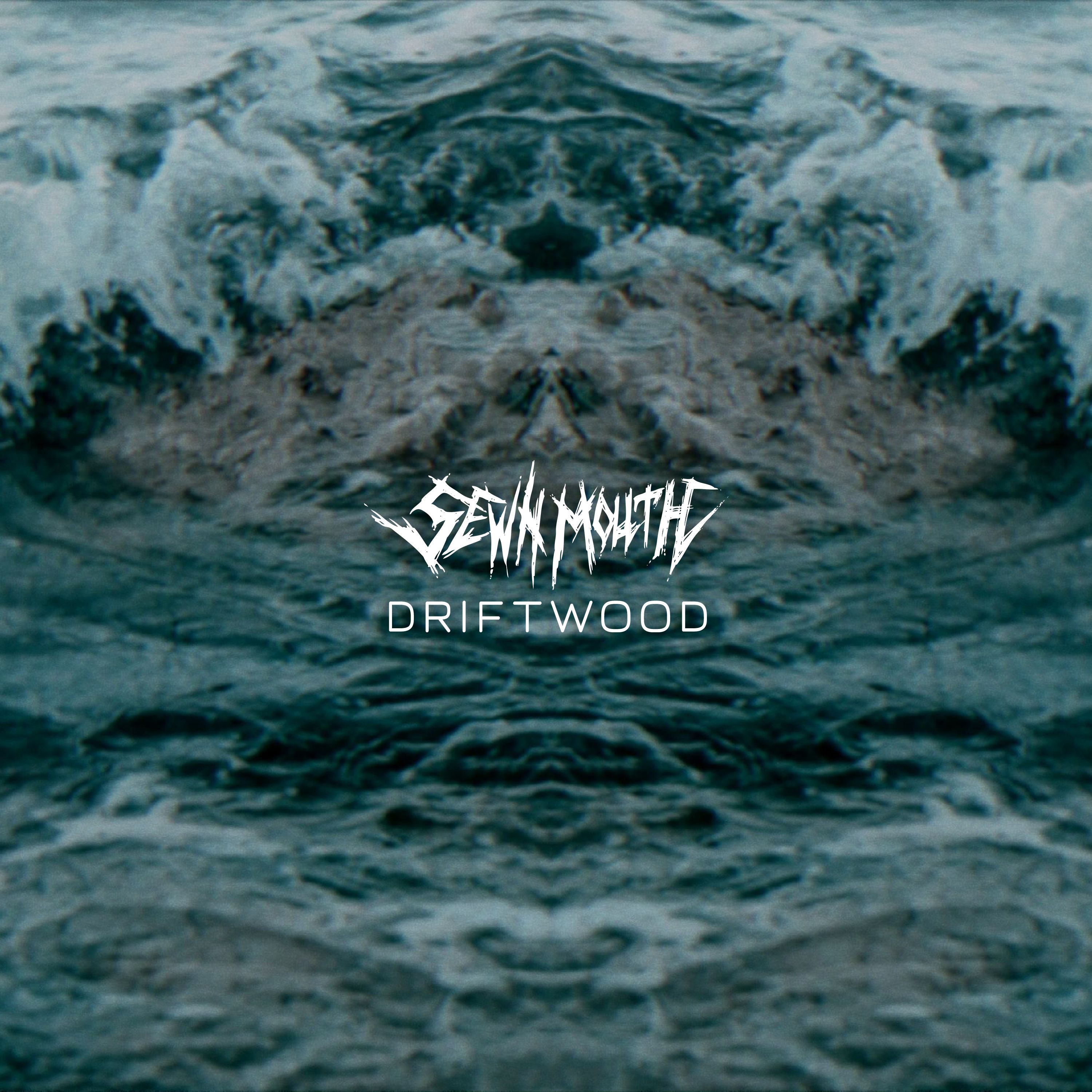 Artwork for Driftwood
